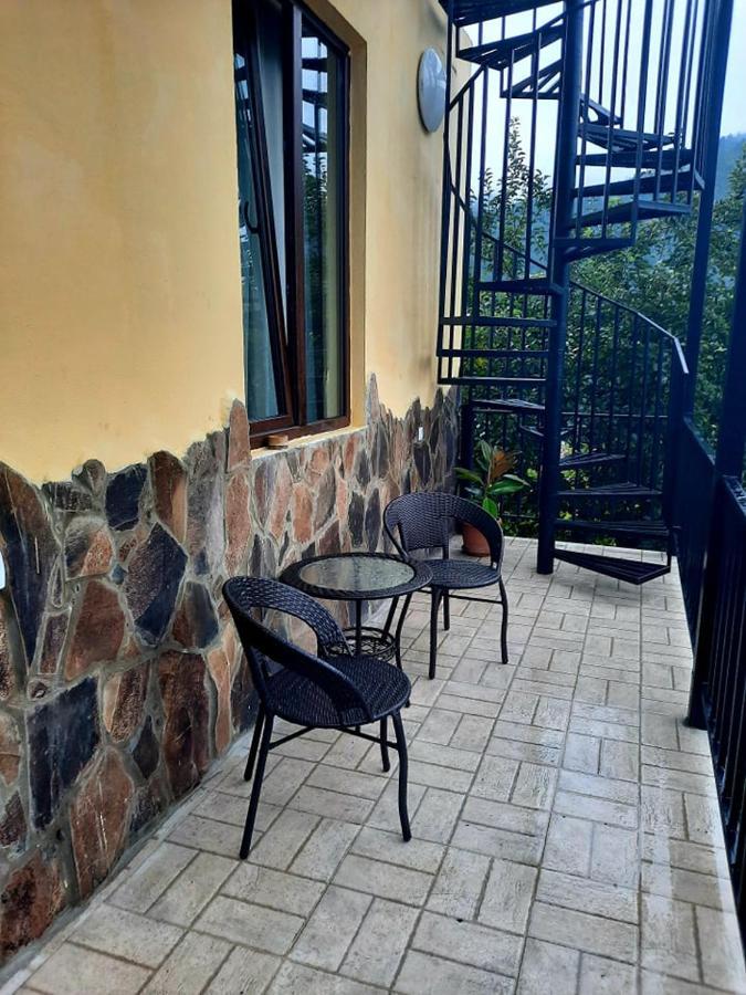 Guest House Bochora Боржоми Екстериор снимка