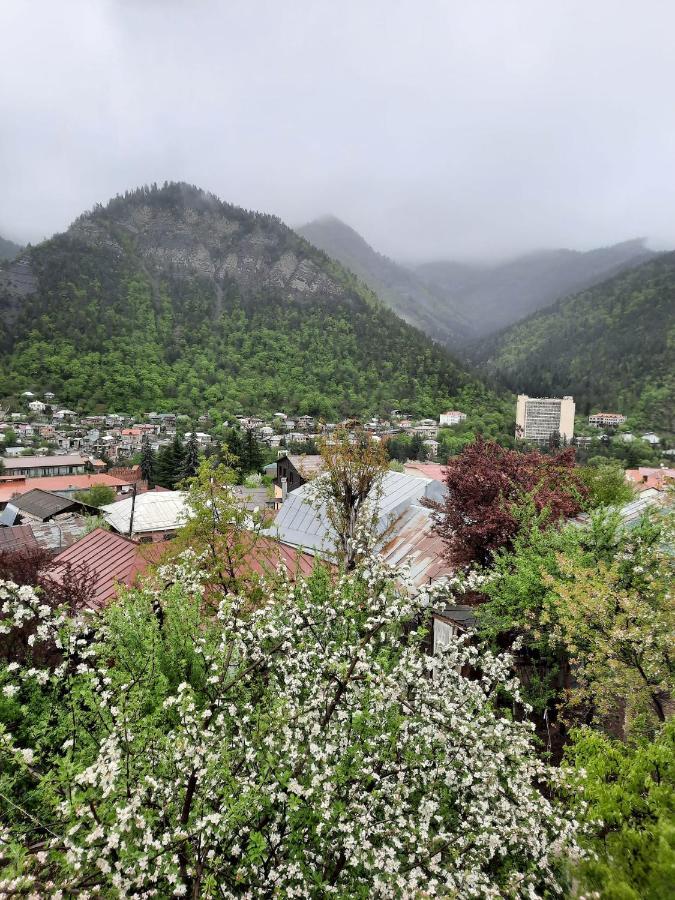 Guest House Bochora Боржоми Екстериор снимка