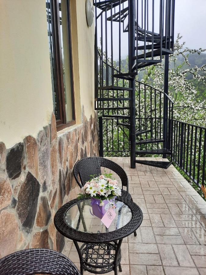 Guest House Bochora Боржоми Екстериор снимка