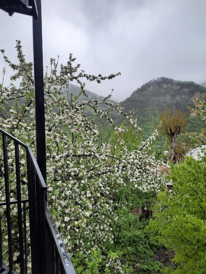 Guest House Bochora Боржоми Екстериор снимка