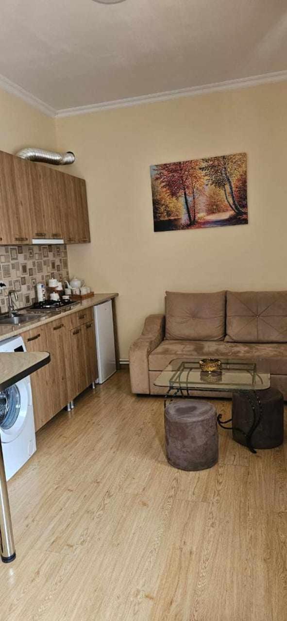 Guest House Bochora Боржоми Екстериор снимка